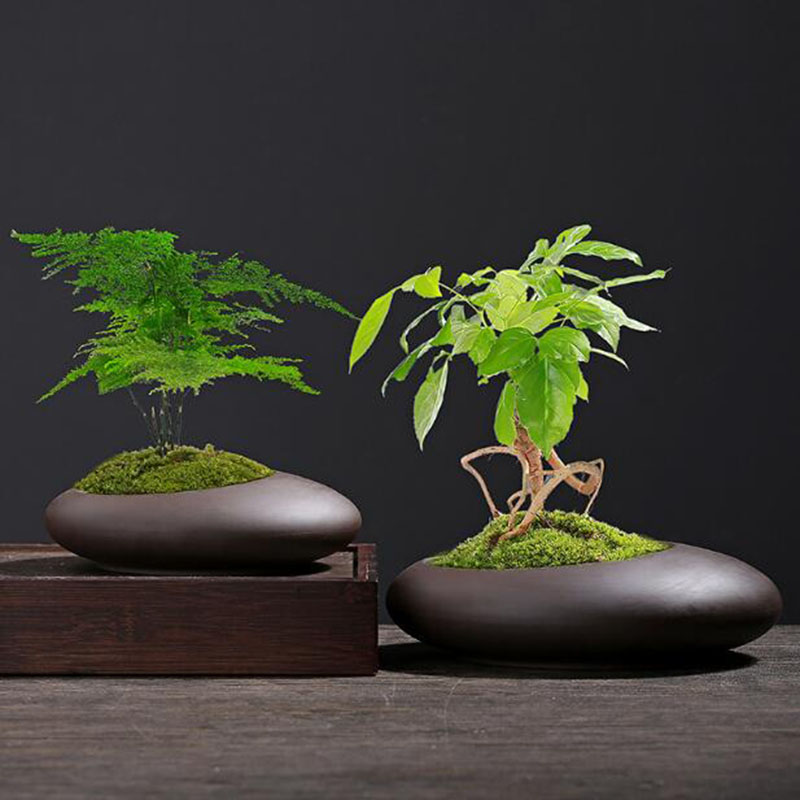 Tagine Clay Pot - Retro Paarse Klei Plantenpot Chinese Stijl