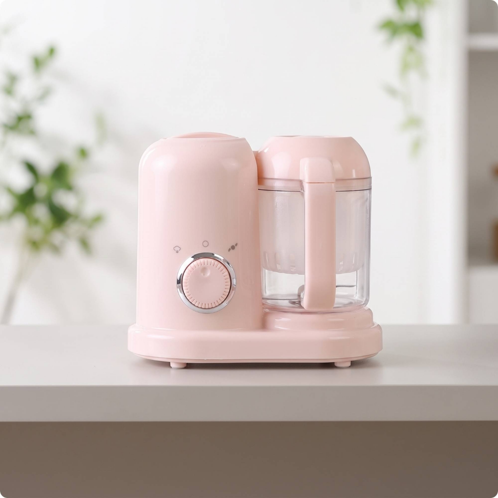 Huisdierenvoerapparaat voor op - Home Cooking Dog Food recensie en prijs