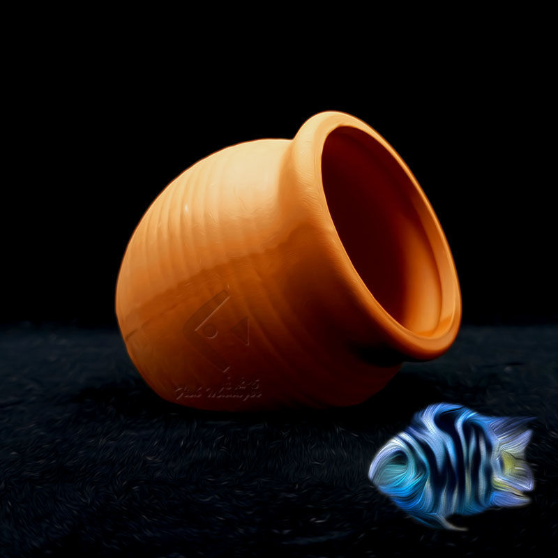 Aquarium Mini Keramische Tank  - Tagine Clay Pot recensie en prijs