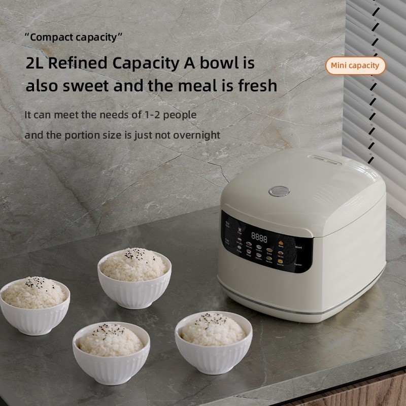 2026 nieuwe home110 V/220 V US - Uk Home Cooking recensie en prijs